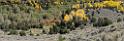 9111_13_10_2010_fremont_river_utah_autumn_color_fall_foliage_leaves_mountain_forest_panoramic_photography_photo_foto_panorama_landscape_landschaft_39_12709x4193