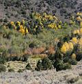 9112_13_10_2010_fremont_river_utah_autumn_color_fall_foliage_leaves_mountain_forest_panoramic_photography_photo_foto_panorama_landscape_landschaft_40_8193x8462