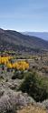 9114_13_10_2010_fremont_river_utah_autumn_color_fall_foliage_leaves_mountain_forest_panoramic_photography_photo_foto_panorama_landscape_landschaft_42_4186x9843