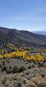 9119_13_10_2010_fremont_river_utah_autumn_color_fall_foliage_leaves_mountain_forest_panoramic_photography_photo_foto_panorama_landscape_landschaft_69_4253x7926