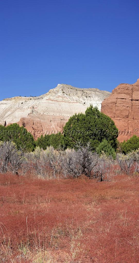 9062_12_10_2010_kodachrome_basin_state_park_utah_colorful_landscape_red_rock_color_outlook_viewpoint_panoramic_photography_photo_panorama_landscape_landschaft_16_4312x8176.jpg