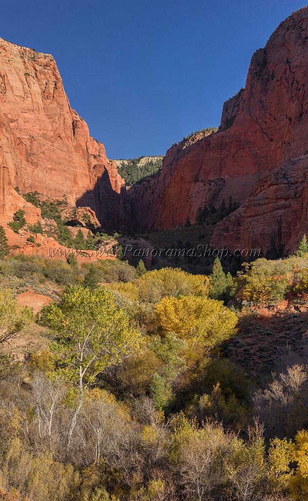 16890_16_10_2014_cedar_city_kolob_canyon_lee_pass_blue_sky_overlook_trail_utah_autumn_red_rock_blue_sky_fall_color_colorful_tree_mountain_forest_panoramic_photo_37_7237x11755.jpg