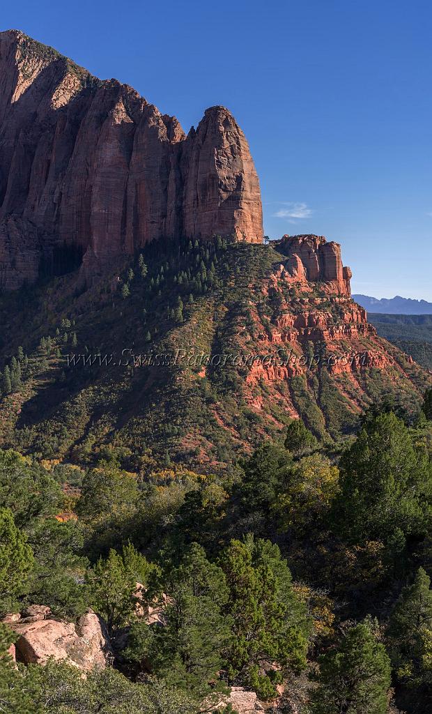 16899_16_10_2014_cedar_city_kolob_canyon_lee_pass_blue_sky_overlook_trail_utah_autumn_red_rock_blue_sky_fall_color_colorful_tree_mountain_forest_panoramic_photo_28_6621x10938.jpg