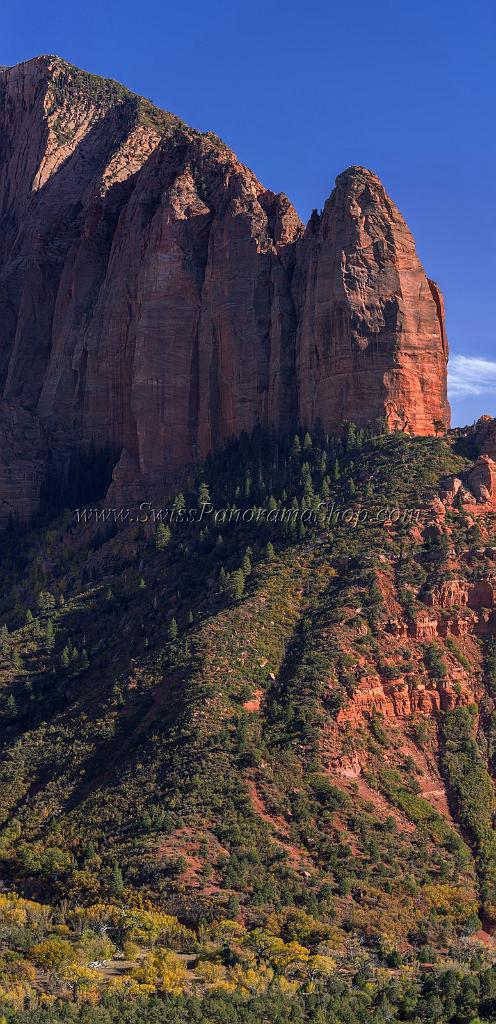 16901_16_10_2014_cedar_city_kolob_canyon_lee_pass_blue_sky_overlook_trail_utah_autumn_red_rock_blue_sky_fall_color_colorful_tree_mountain_forest_panoramic_photo_26_7155x14779.jpg