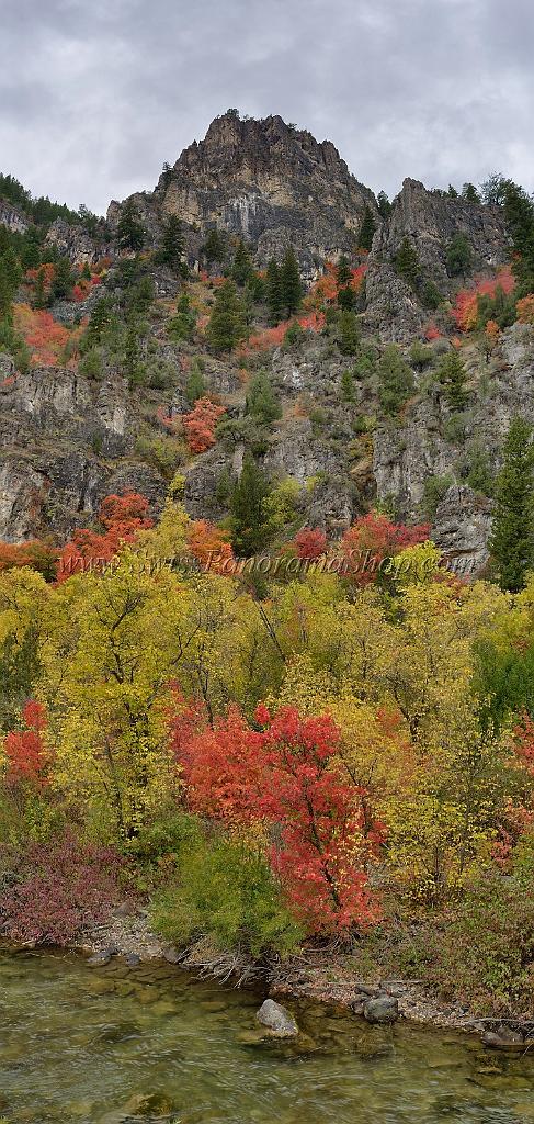 13026_24_09_2012_logan_valley_utah_river_tree_autumn_color_colorful_fall_foliage_leaves_mountain_forest_panoramic_landscape_photography_panorama_landschaft_foto_2_7259x15270.jpg