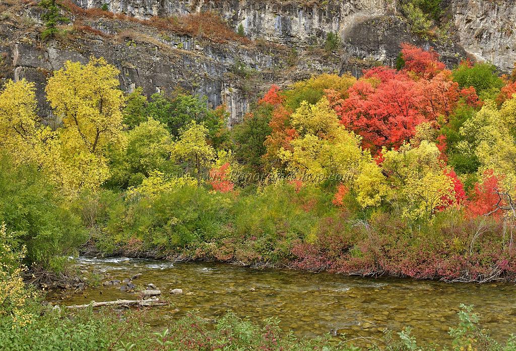 13027_24_09_2012_logan_valley_utah_river_tree_autumn_color_colorful_fall_foliage_leaves_mountain_forest_panoramic_landscape_photography_panorama_landschaft_foto_3_10720x7295.jpg