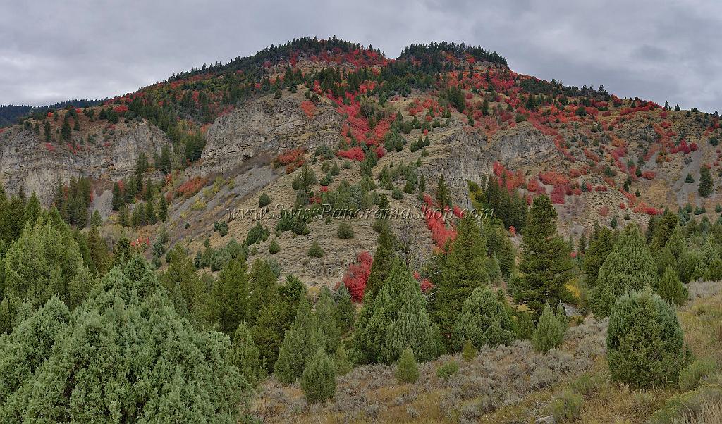 13031_24_09_2012_logan_valley_utah_river_tree_autumn_color_colorful_fall_foliage_leaves_mountain_forest_panoramic_landscape_photography_panorama_landschaft_foto_8_16658x9783.jpg