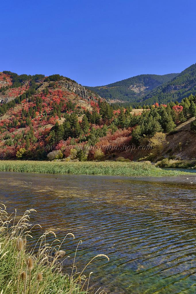 13498_01_10_2012_logan_valley_utah_river_tree_autumn_color_colorful_fall_foliage_leaves_mountain_forest_panoramic_landscape_photography_panorama_landschaft_foto_33_7152x10739.jpg