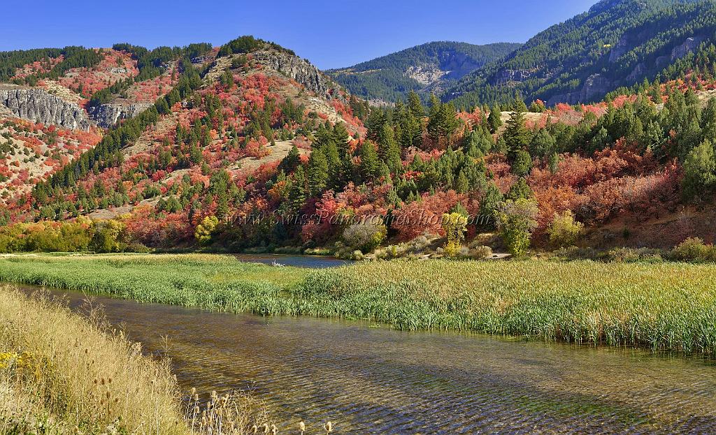 13500_01_10_2012_logan_valley_utah_river_tree_autumn_color_colorful_fall_foliage_leaves_mountain_forest_panoramic_landscape_photography_panorama_landschaft_foto_35_11763x7150.jpg