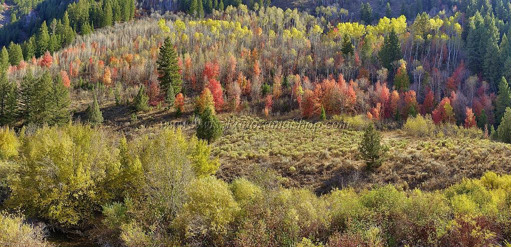 13505_01_10_2012_logan_valley_utah_river_tree_autumn_color_colorful_fall_foliage_leaves_mountain_forest_panoramic_landscape_photography_panorama_landschaft_foto_40_14399x6960.jpg