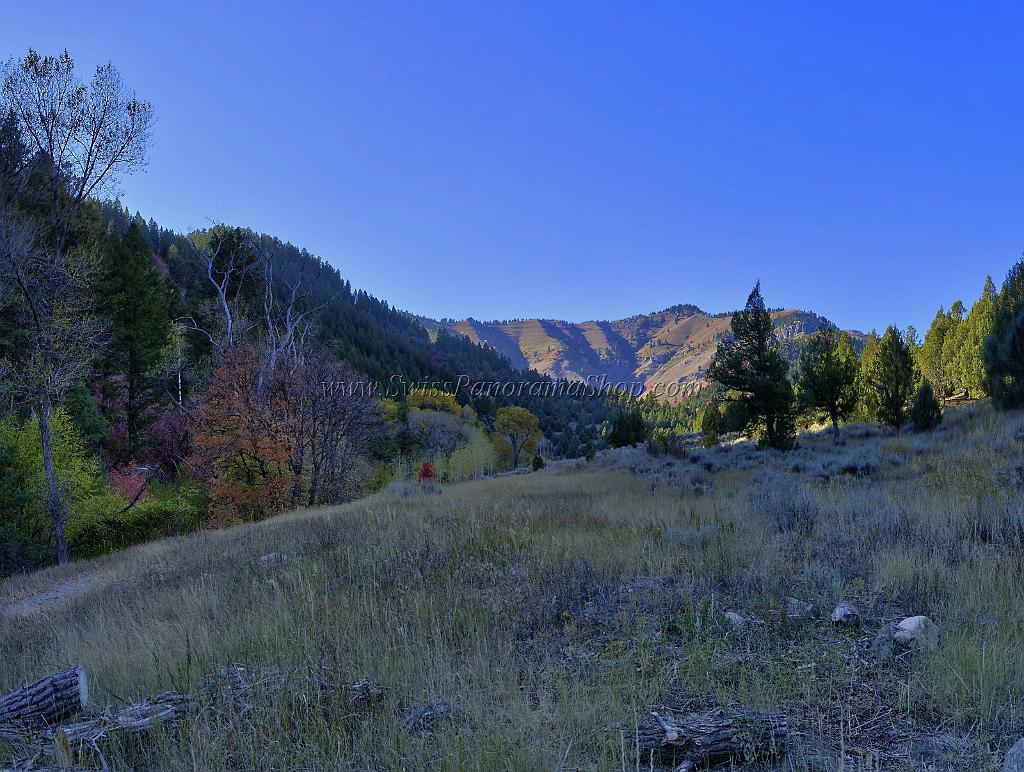 13512_01_10_2012_logan_valley_utah_river_tree_autumn_color_colorful_fall_foliage_leaves_mountain_forest_panoramic_landscape_photography_panorama_landschaft_foto_47_11106x8378.jpg