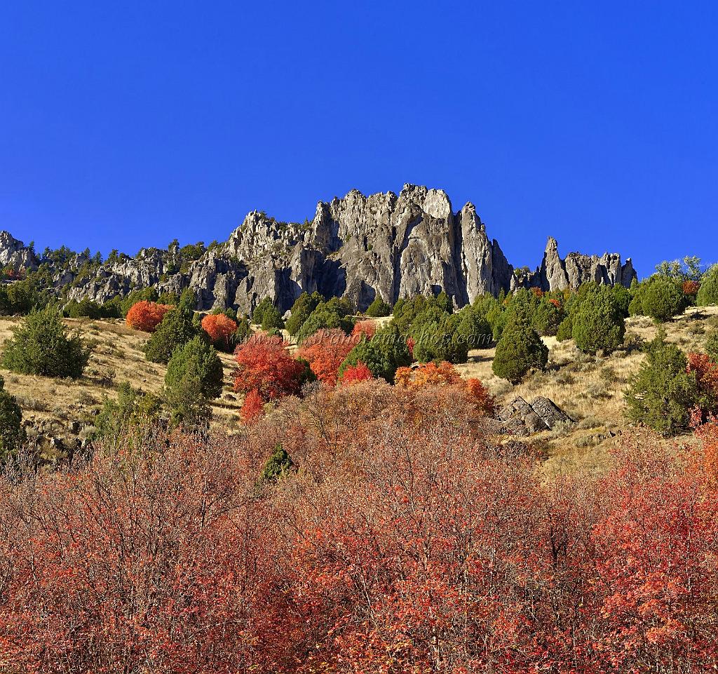 13514_01_10_2012_logan_valley_utah_river_tree_autumn_color_colorful_fall_foliage_leaves_mountain_forest_panoramic_landscape_photography_panorama_landschaft_foto_49_7077x6639.jpg