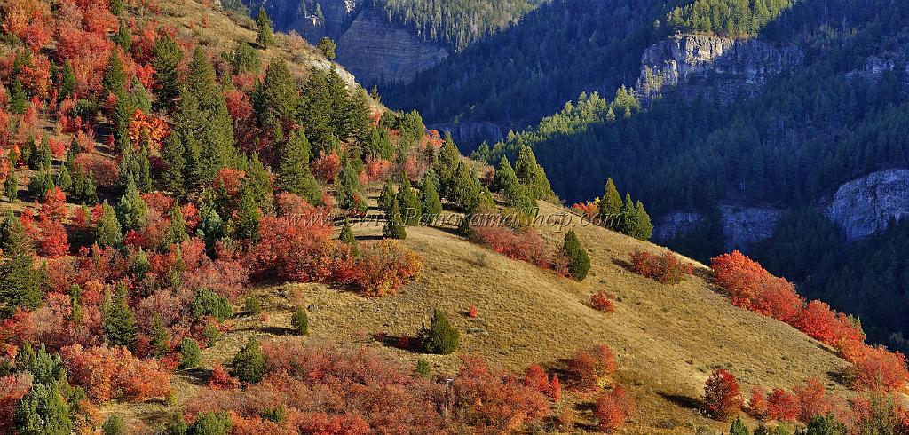 13517_01_10_2012_logan_valley_utah_river_tree_autumn_color_colorful_fall_foliage_leaves_mountain_forest_panoramic_landscape_photography_panorama_landschaft_foto_52_14845x7107.jpg
