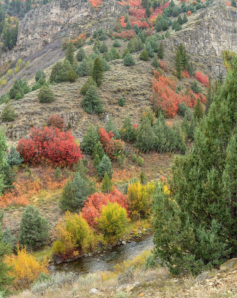 15857_21_09_2014_logan_river_utah_autumn_color_colorful_fall_foliage_viewpoint_forest_panoramic_landscape_photography_landschaft_foto_bach_26_6735x8485.jpg