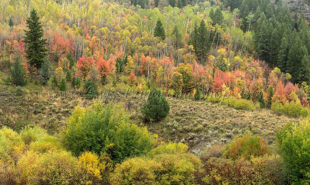 15858_21_09_2014_logan_river_utah_autumn_color_colorful_fall_foliage_viewpoint_forest_panoramic_landscape_photography_landschaft_foto_bach_21_11562x6912.jpg