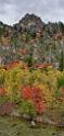13026_24_09_2012_logan_valley_utah_river_tree_autumn_color_colorful_fall_foliage_leaves_mountain_forest_panoramic_landscape_photography_panorama_landschaft_foto_2_7259x15270
