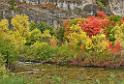 13027_24_09_2012_logan_valley_utah_river_tree_autumn_color_colorful_fall_foliage_leaves_mountain_forest_panoramic_landscape_photography_panorama_landschaft_foto_3_10720x7295