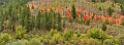 13030_24_09_2012_logan_valley_utah_river_tree_autumn_color_colorful_fall_foliage_leaves_mountain_forest_panoramic_landscape_photography_panorama_landschaft_foto_7_15281x5502