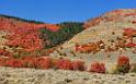 13465_01_10_2012_logan_valley_utah_river_tree_autumn_color_colorful_fall_foliage_leaves_mountain_forest_panoramic_landscape_photography_panorama_landschaft_foto_56_0x0