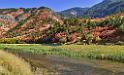 13500_01_10_2012_logan_valley_utah_river_tree_autumn_color_colorful_fall_foliage_leaves_mountain_forest_panoramic_landscape_photography_panorama_landschaft_foto_35_11763x7150