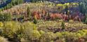 13505_01_10_2012_logan_valley_utah_river_tree_autumn_color_colorful_fall_foliage_leaves_mountain_forest_panoramic_landscape_photography_panorama_landschaft_foto_40_14399x6960