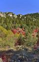 13511_01_10_2012_logan_valley_utah_river_tree_autumn_color_colorful_fall_foliage_leaves_mountain_forest_panoramic_landscape_photography_panorama_landschaft_foto_46_7052x11072