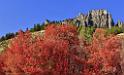 13513_01_10_2012_logan_valley_utah_river_tree_autumn_color_colorful_fall_foliage_leaves_mountain_forest_panoramic_landscape_photography_panorama_landschaft_foto_48_11868x7133