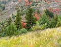 15880_21_09_2014_logan_river_utah_autumn_color_colorful_fall_foliage_viewpoint_forest_panoramic_landscape_photography_landschaft_foto_bach_24_6847x5327