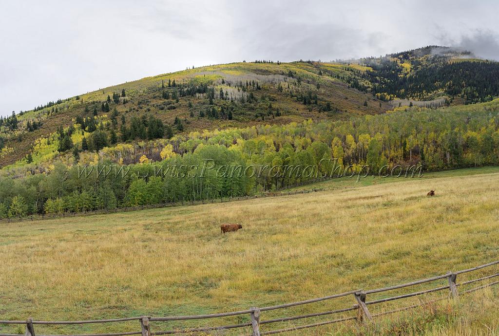 16053_28_09_2014_park_city_utah_town_street_fall_color_colorful_tree_mountain_forest_panoramic_landscape_photography_herbst_landschaft_1_12017x8098.jpg