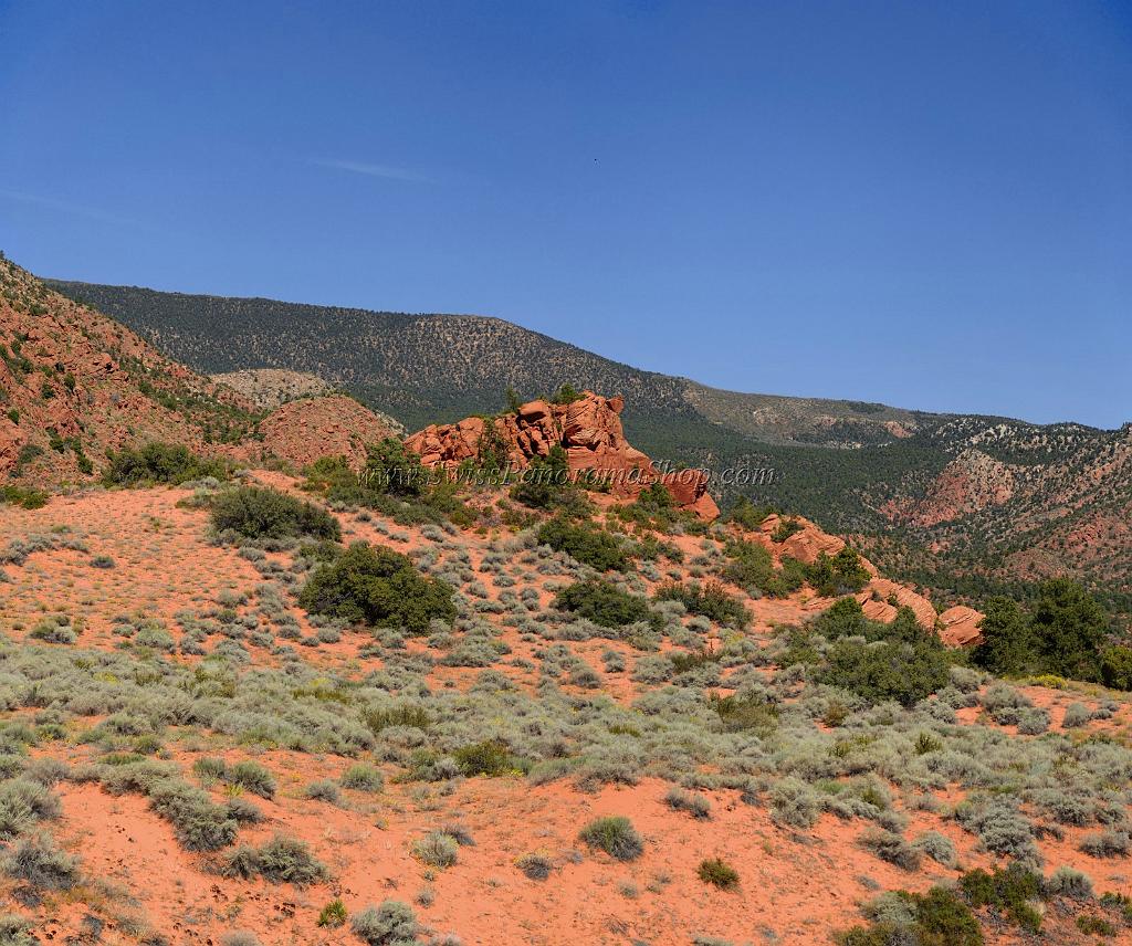 10869_13_10_2011_pine_valley_mountains_silver_reef_utah_red_rock_formation_scenic_canyon_sky_flower_busch_blue_panoramic_landscape_photography_panorama_landschaft_40_8422x7040.jpg
