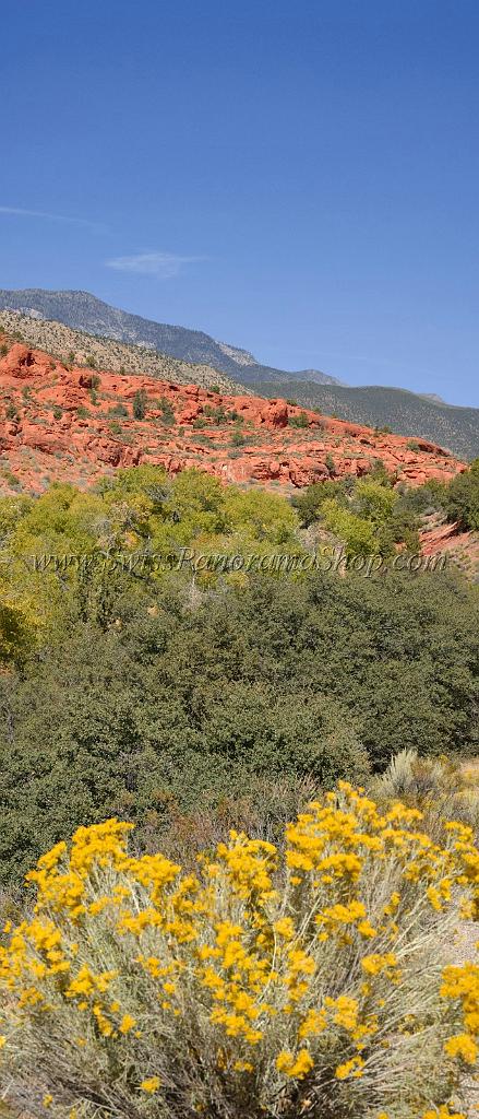 10908_13_10_2011_pine_valley_mountains_silver_reef_utah_red_rock_formation_scenic_canyon_sky_flower_busch_blue_panoramic_landscape_photography_panorama_landschaft_39_4470x10418.jpg