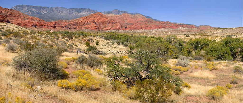 10910_13_10_2011_pine_valley_mountains_silver_reef_utah_red_rock_formation_scenic_canyon_sky_flower_busch_blue_panoramic_landscape_photography_panorama_landschaft_45_11062x4684.jpg