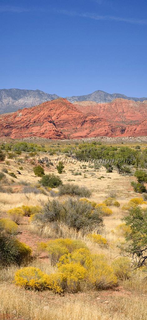10911_13_10_2011_pine_valley_mountains_silver_reef_utah_red_rock_formation_scenic_canyon_sky_flower_busch_blue_panoramic_landscape_photography_panorama_landschaft_46_4846x10503.jpg
