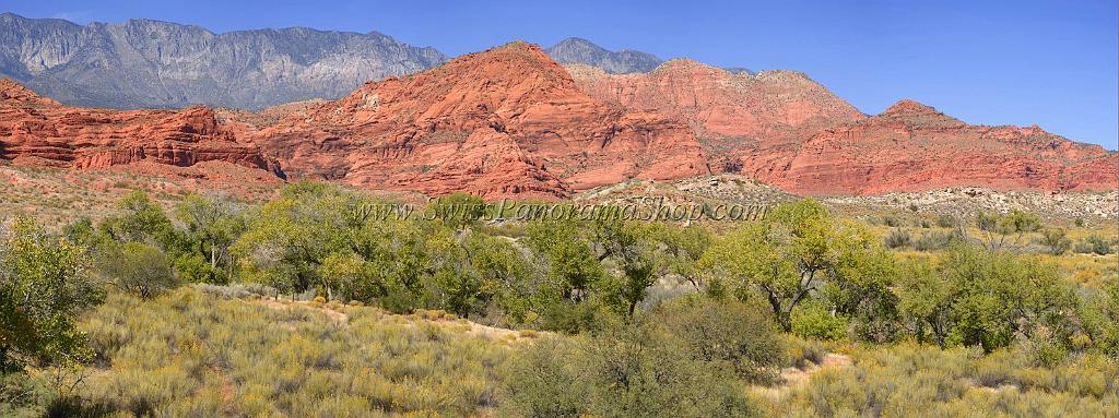10912_13_10_2011_pine_valley_mountains_silver_reef_utah_red_rock_formation_scenic_canyon_sky_flower_busch_blue_panoramic_landscape_photography_panorama_landschaft_47_12836x4802.jpg