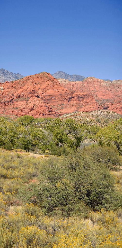 10913_13_10_2011_pine_valley_mountains_silver_reef_utah_red_rock_formation_scenic_canyon_sky_flower_busch_blue_panoramic_landscape_photography_panorama_landschaft_48_4811x9797.jpg