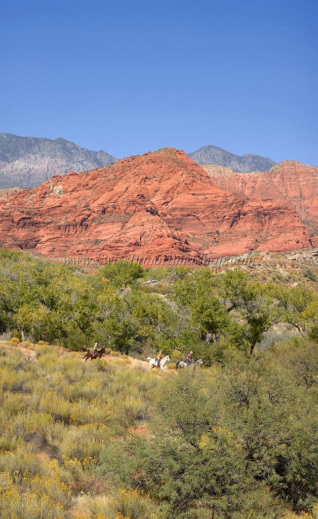 10914_13_10_2011_pine_valley_mountains_silver_reef_utah_red_rock_formation_scenic_canyon_sky_flower_busch_blue_panoramic_landscape_photography_panorama_landschaft_49_4821x7854.jpg