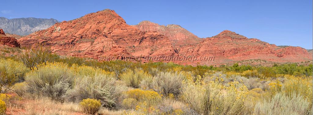 10915_13_10_2011_pine_valley_mountains_silver_reef_utah_red_rock_formation_scenic_canyon_sky_flower_busch_blue_panoramic_landscape_photography_panorama_landschaft_50_12534x4640.jpg