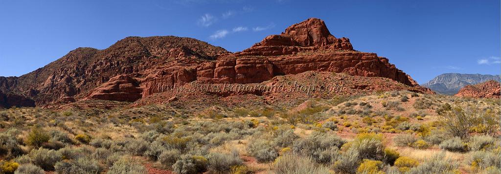 10919_13_10_2011_pine_valley_mountains_silver_reef_utah_red_rock_formation_scenic_canyon_sky_flower_busch_blue_panoramic_landscape_photography_panorama_landschaft_54_13639x4749.jpg