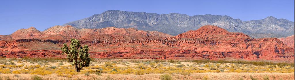 10920_13_10_2011_pine_valley_mountains_silver_reef_utah_red_rock_formation_scenic_canyon_sky_flower_busch_blue_panoramic_landscape_photography_panorama_landschaft_56_16982x4611