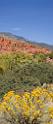 10908_13_10_2011_pine_valley_mountains_silver_reef_utah_red_rock_formation_scenic_canyon_sky_flower_busch_blue_panoramic_landscape_photography_panorama_landschaft_39_4470x10418