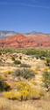 10911_13_10_2011_pine_valley_mountains_silver_reef_utah_red_rock_formation_scenic_canyon_sky_flower_busch_blue_panoramic_landscape_photography_panorama_landschaft_46_4846x10503