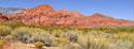 10915_13_10_2011_pine_valley_mountains_silver_reef_utah_red_rock_formation_scenic_canyon_sky_flower_busch_blue_panoramic_landscape_photography_panorama_landschaft_50_12534x4640