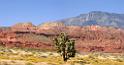 10921_13_10_2011_pine_valley_mountains_silver_reef_utah_red_rock_formation_scenic_canyon_sky_flower_busch_blue_panoramic_landscape_photography_panorama_landschaft_57_8500x4434