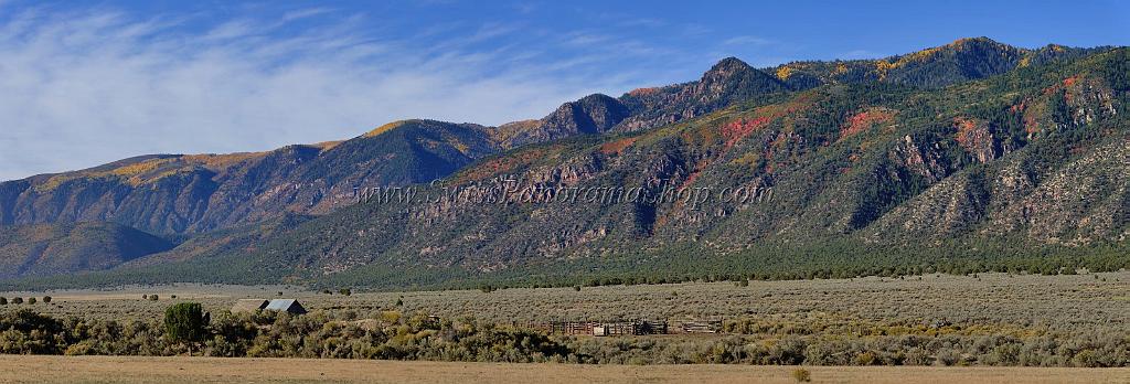 13593_03_10_2012_salina_utah_tree_autumn_color_colorful_fall_foliage_leaves_mountain_forest_panoramic_landscape_photography_panorama_landschaft_foto_1_0x0.jpg