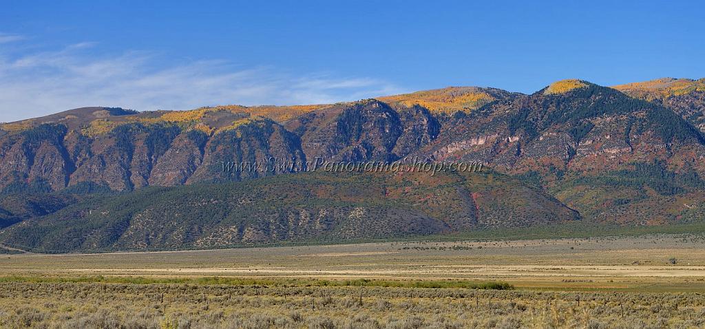 13596_03_10_2012_salina_utah_tree_autumn_color_colorful_fall_foliage_leaves_mountain_forest_panoramic_landscape_photography_panorama_landschaft_foto_4_11786x5500.jpg