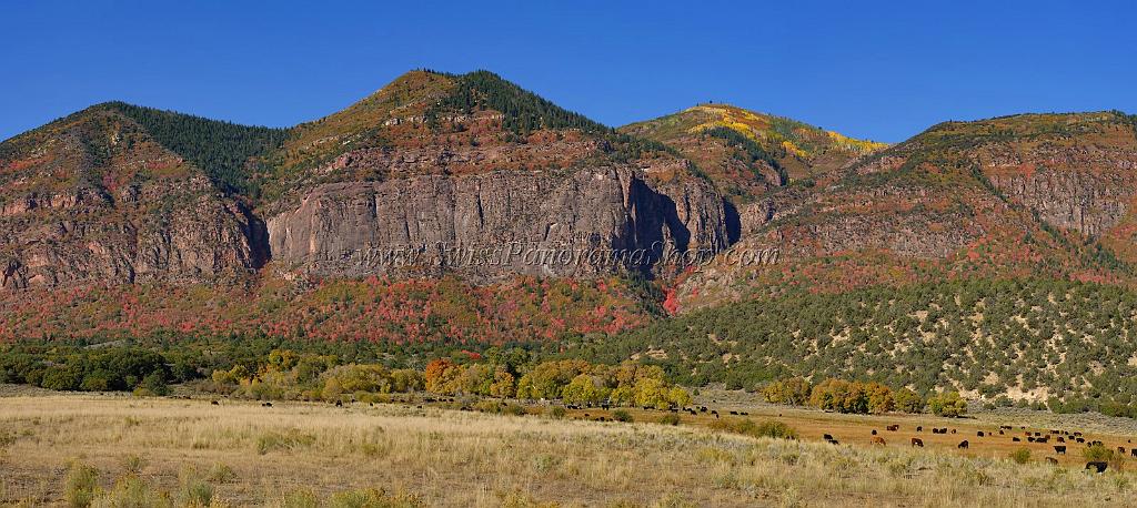 13597_03_10_2012_salina_utah_tree_autumn_color_colorful_fall_foliage_leaves_mountain_forest_panoramic_landscape_photography_panorama_landschaft_foto_5_16626x7435.jpg