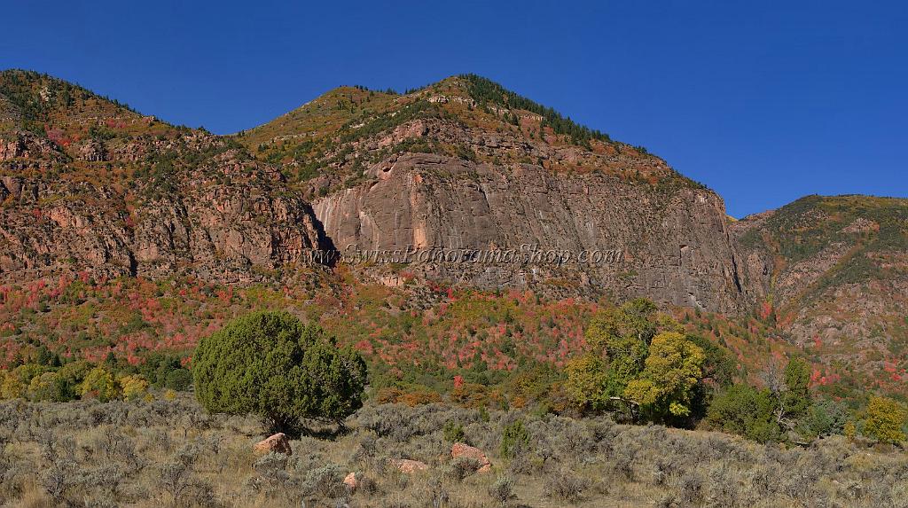 13598_03_10_2012_salina_utah_tree_autumn_color_colorful_fall_foliage_leaves_mountain_forest_panoramic_landscape_photography_panorama_landschaft_foto_6_16847x9434.jpg