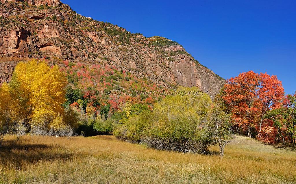 13601_03_10_2012_salina_utah_tree_autumn_color_colorful_fall_foliage_leaves_mountain_forest_panoramic_landscape_photography_panorama_landschaft_foto_9_16566x10307.jpg