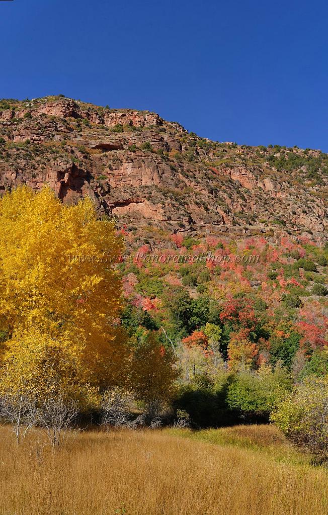 13602_03_10_2012_salina_utah_tree_autumn_color_colorful_fall_foliage_leaves_mountain_forest_panoramic_landscape_photography_panorama_landschaft_foto_10_7100x11153.jpg