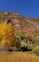 13602_03_10_2012_salina_utah_tree_autumn_color_colorful_fall_foliage_leaves_mountain_forest_panoramic_landscape_photography_panorama_landschaft_foto_10_7100x11153